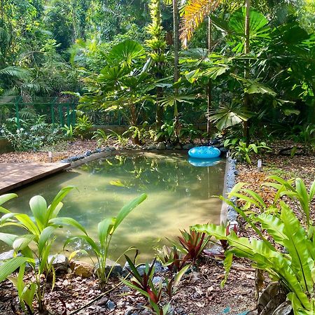 Daintree Siesta Villa Diwan Exterior photo