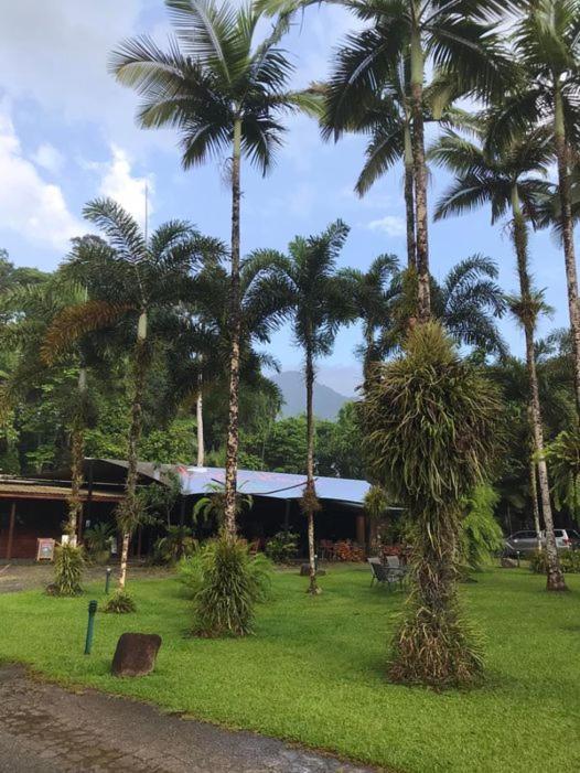 Daintree Siesta Villa Diwan Exterior photo