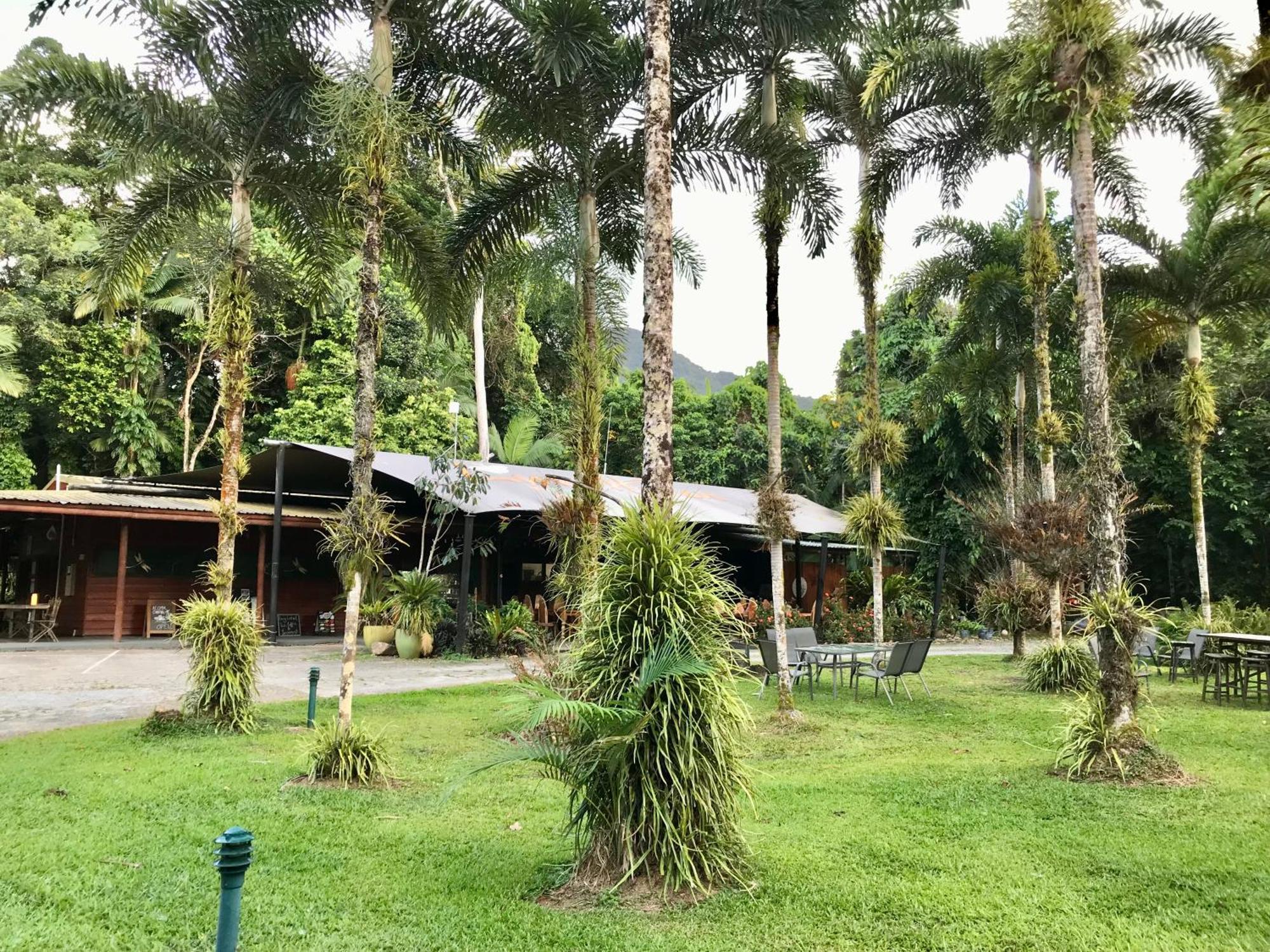 Daintree Siesta Villa Diwan Exterior photo